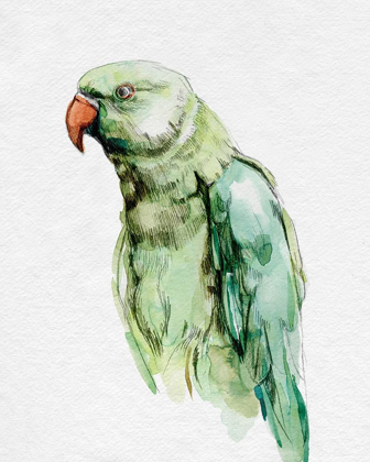 Picture of BRIGHT PARROT PORTRAIT I