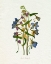 Picture of PRESSED JUNE ARRANGEMENT I