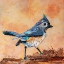Picture of TUFTED TITMOUSE