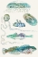 Picture of AQUATIC ASSEMBLAGE IX