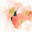 Picture of CITRUS FACET II