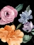 Picture of TWILIGHT BLOSSOM III