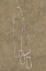 Picture of THE RUNES III