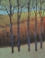 Picture of GLIMMER IN THE FOREST II