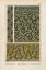 Picture of NOUVEAU DECORATIVE VIII
