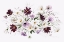 Picture of AMETHYST BOUQUET III
