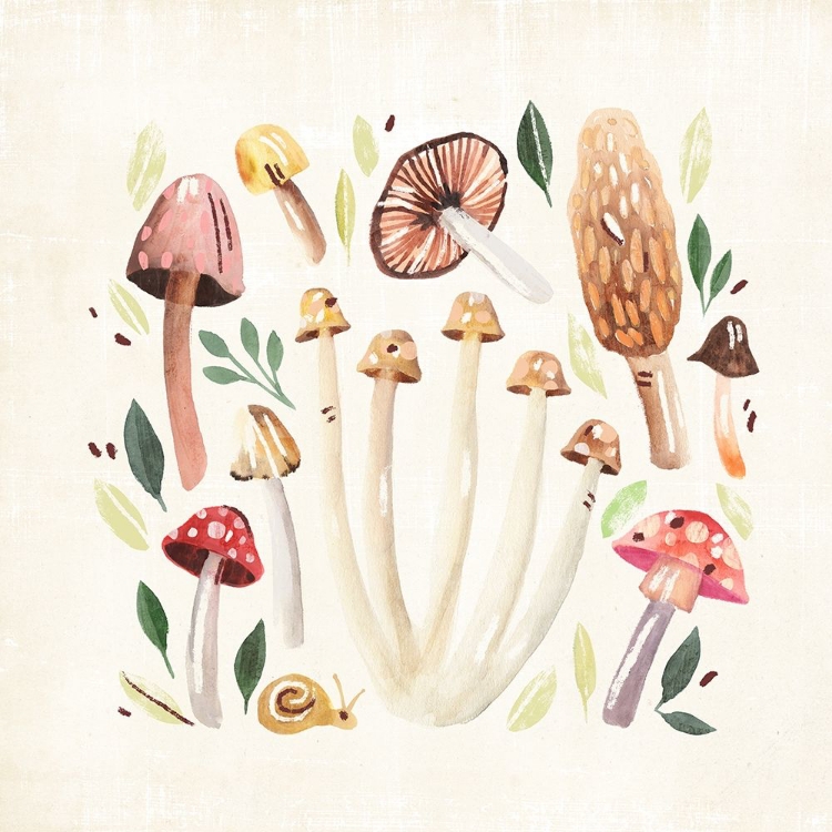 Picture of FUNGI FIELD TRIP II