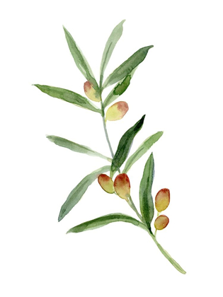 Picture of SWEET OLIVE BRANCH I