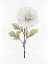 Picture of WHITE BLOSSOM I