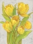 Picture of YELLOW TULIPS II