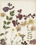 Picture of PRESSED FLOWER ARRANGEMENT V