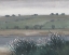 Picture of HAZY MORNING II