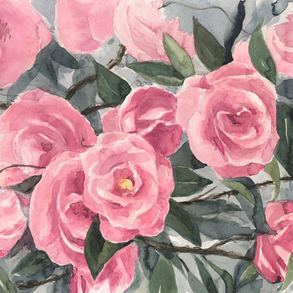 Picture of WATERCOLOR ROSES II