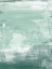 Picture of COASTAL PATINA II