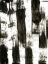 Picture of DYNAMIC BAMBOO I