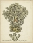 Picture of ECRU CORAL VI