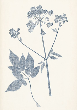 Picture of NAVY BOTANICALS IV