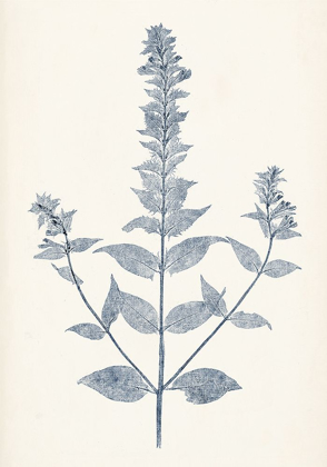 Picture of NAVY BOTANICALS VII