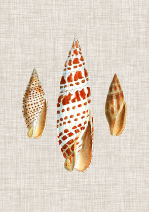 Picture of ANTIQUE SHELLS ON LINEN I