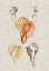 Picture of ANTIQUE SHELLS ON LINEN VI