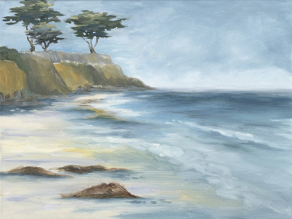 Picture of BEACH CYPRESS