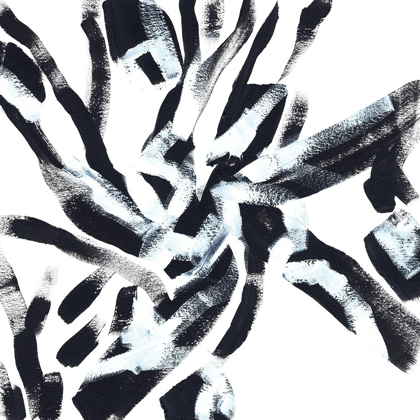 Picture of ONYX CODE VII