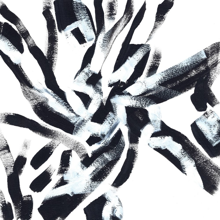 Picture of ONYX CODE VII
