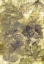 Picture of ECO PRINT I