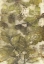 Picture of ECO PRINT III