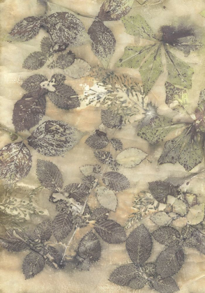 Picture of ECO PRINT V