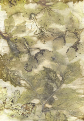 Picture of ECO PRINT VII