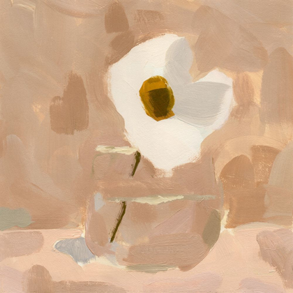 Picture of CANARY ISLAND MARGUERITE I