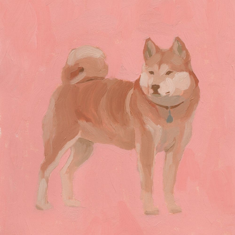 Picture of SHIBA INU I