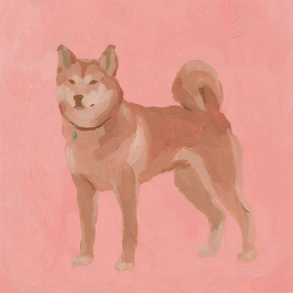 Picture of SHIBA INU II