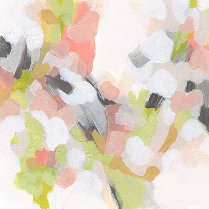 Picture of DOGWOOD PRISM IV