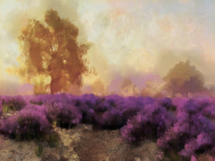 Picture of PURPLE COUNTRYSIDE II
