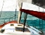 Picture of SAILING THE SEAS II
