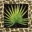 Picture of TROPIC COLLECTION I