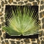 Picture of TROPIC COLLECTION III