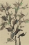 Picture of LEAVES ON TAUPE II