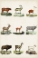 Picture of ANTIQUE ANIMAL CHART I