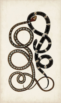 Picture of ANTIQUE SNAKES II