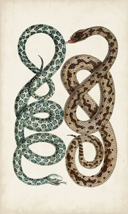 Picture of ANTIQUE SNAKES IV