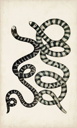 Picture of ANTIQUE SNAKES VI