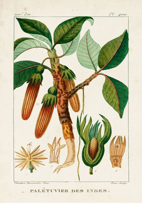Picture of TURPIN FOLIAGE AND FRUIT I