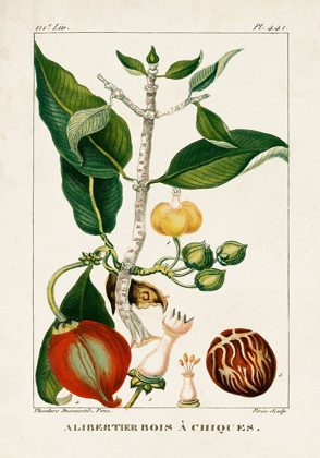 Picture of TURPIN FOLIAGE AND FRUIT III