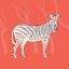 Picture of PLAINS ZEBRA I