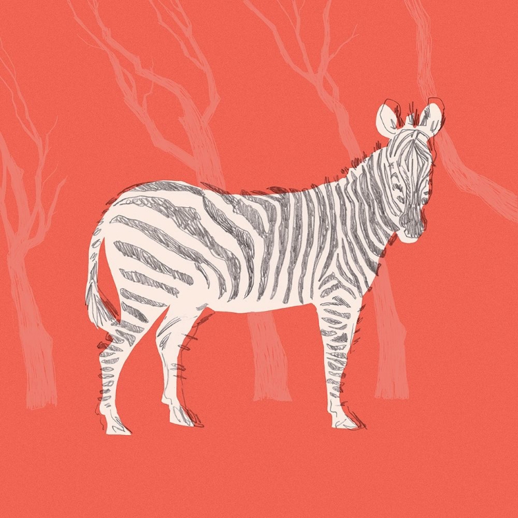 Picture of PLAINS ZEBRA I