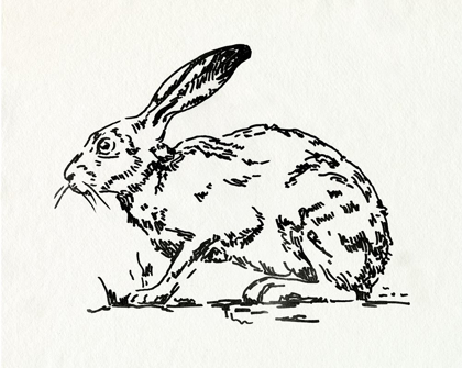 Picture of RESTING HARE I