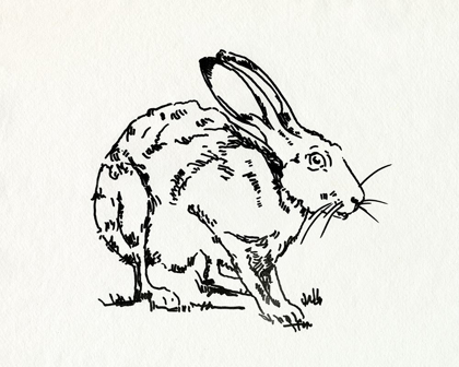 Picture of RESTING HARE II